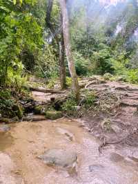 เส้นทางศึกษาธรรมชาติผาดอกเสี้ยว