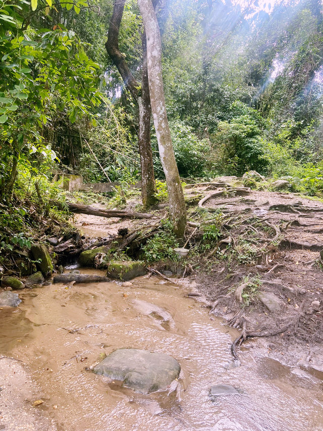 เส้นทางศึกษาธรรมชาติผาดอกเสี้ยว เส้นทางศึกษาธรรมชาติผาดอกเสี้ยว