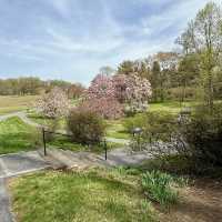 Winterthur Museum, Garden & Library