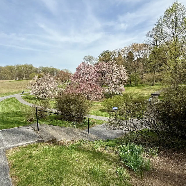 Winterthur Museum, Garden & Library
