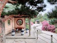 A Solo Serenade to Early Autumn: Elizabeth Hubert Malott Japanese Garden