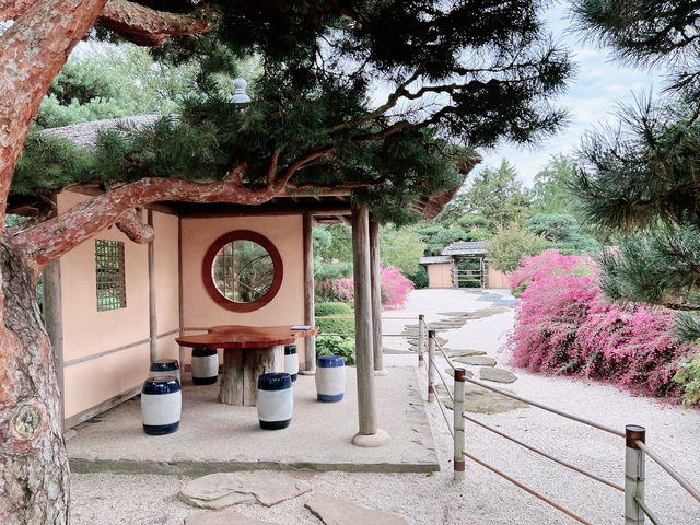 A Solo Serenade to Early Autumn: Elizabeth Hubert Malott Japanese Garden