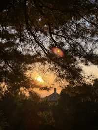 Best Panoramic View of the Forbidden City ✨