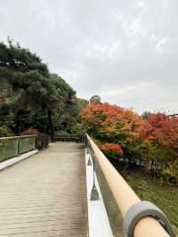 🍁걷고 또 걷고, 둘레길 걷기