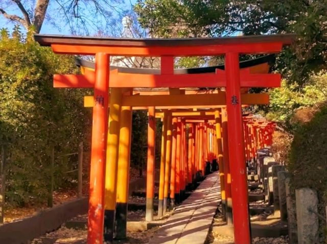 🌸 Nezu Shrine – A Serene Escape in Tokyo’s Old Neighborhood