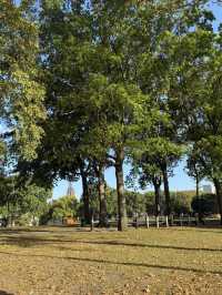 가을에 뉴욕 여행 여기는 필수