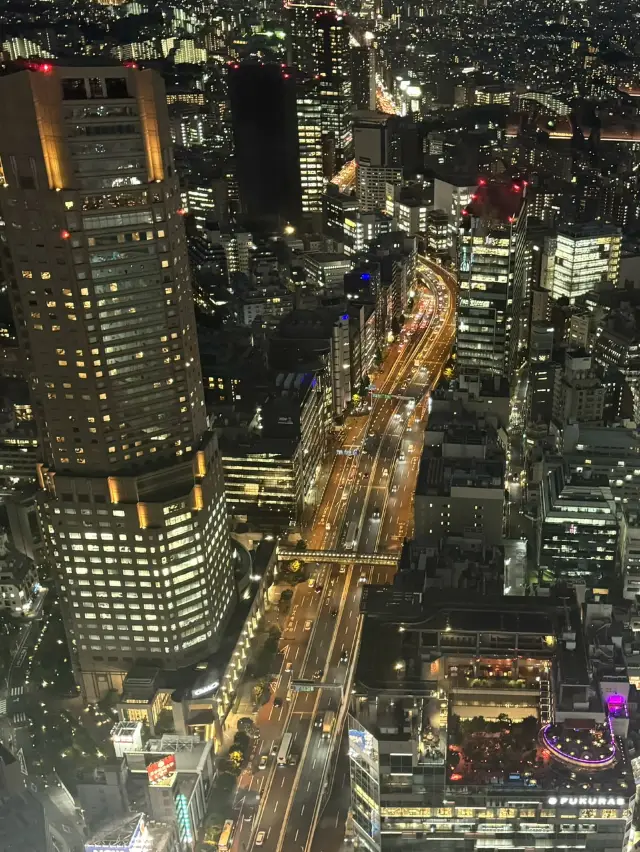 First Tokyo Trip: A Complete 4-Day Itinerary