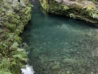 Zhangjiajie National forest park🙌🏼✨🔮