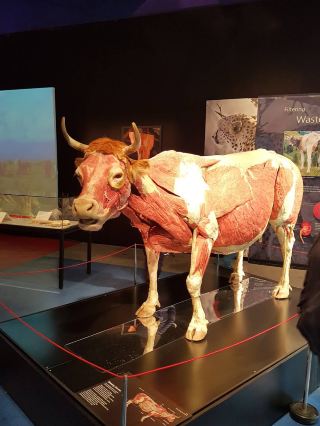 🔬🌌 Explore Science and Wonder at Life Science Centre, Newcastle 🧬✨