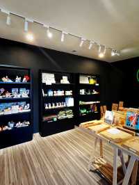 Alishan Forest Art Gallery – A Calm Cultural Stop at the Bus Transport Hub