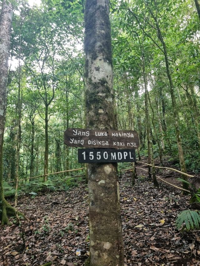 Vibrant Day Out🌸 Vibrant Day Out🌸