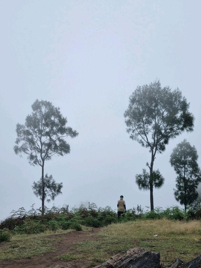 Vibrant Day Out🌸 Vibrant Day Out🌸