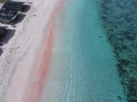 Pink Beach Paradise 🌸