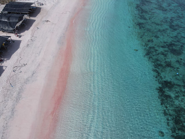 Pink Beach Paradise 🌸 Pink Beach Paradise 🌸