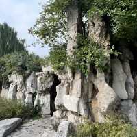 🐟 A Peaceful Local Park Beside the City Center