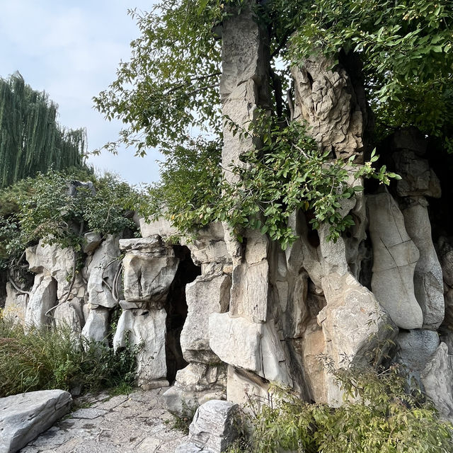 🐟 A Peaceful Local Park Beside the City Center 🐟 A Peaceful Local Park Beside the City Center