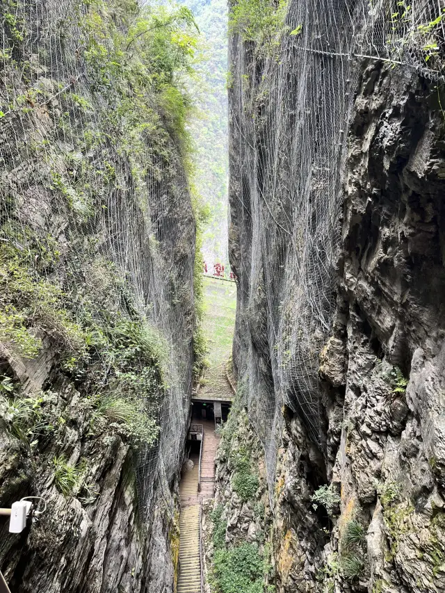 장가계 대협곡(张家界大峡谷) — 무릉원에서 방문하는 것이 가장 좋습니다.