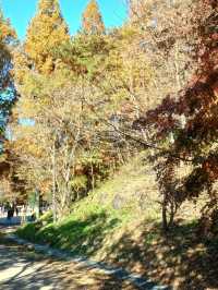 가을이면 특히 더 부드러운 분위기