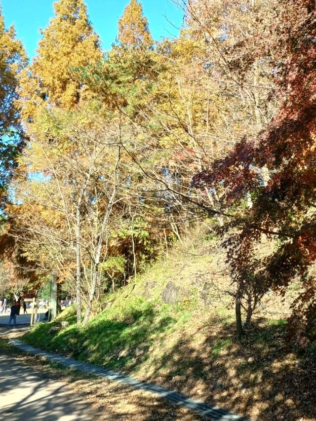 가을이면 특히 더 부드러운 분위기 가을이면 특히 더 부드러운 분위기