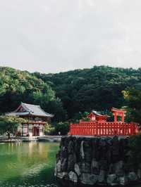 勝尾寺超級可愛滿山達摩!