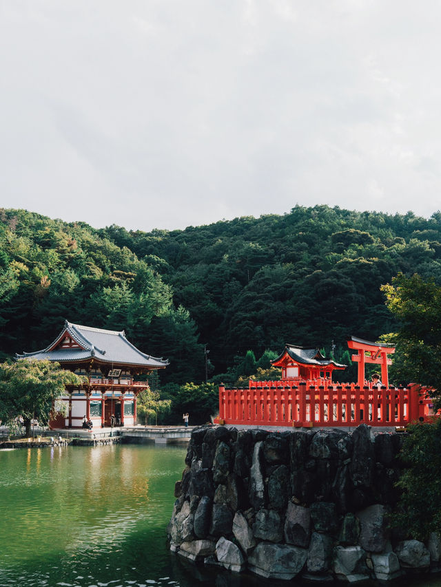 勝尾寺超級可愛滿山達摩! 勝尾寺超級可愛滿山達摩!