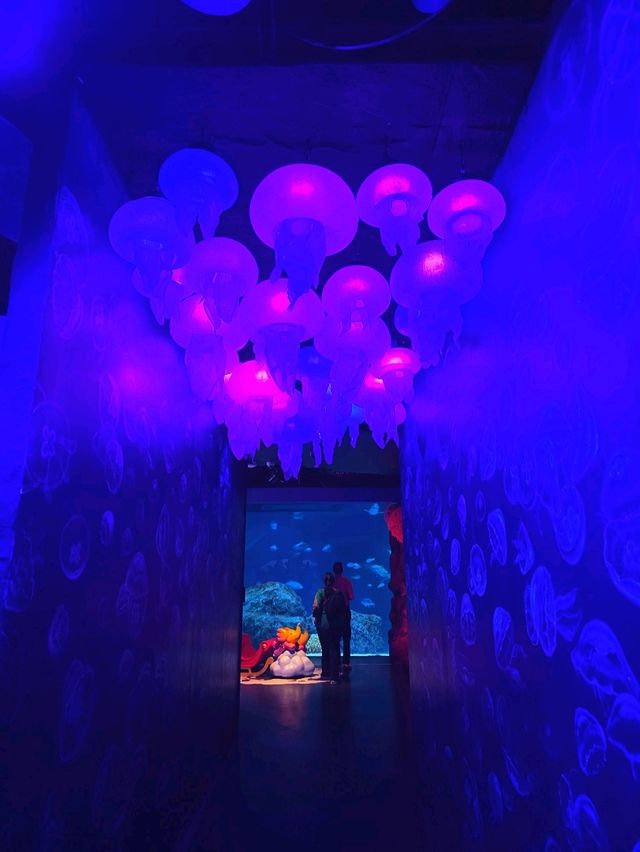 SEA LIFE  ย้อนวัยเด็กที่อควาเรียมกลางกรุง 🐠🪼🪸