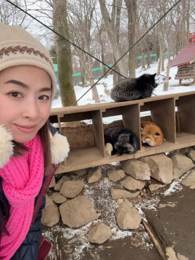 mocici冒険のプロローグ600% ブラウンのキツネちゃん キツネの日常を間近で観察する | Trip.com 白石市