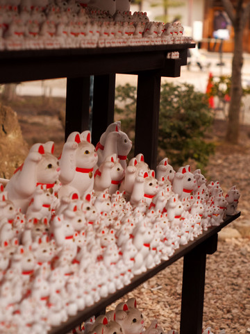 美品 豪徳寺 招き猫 大 豪徳寺 – 日本の招き猫寺 | Trip.com 東京