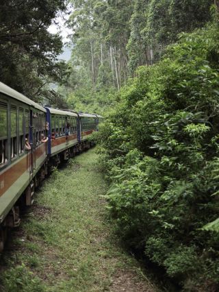 🚂🇱🇰 รถไฟแห่งความฝันศรีลังกา | ล่องลอยผ่านเมฆ ไร่ชา และหมอกบนภูเขา 🍃☁️