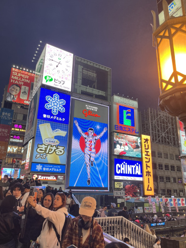 道頓堀様　確認用 道頓堀 観光ガイド｜巨大看板とグルメを満喫！大阪ミナミの人気スポット ハオルチア・アロエ