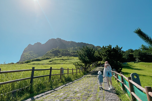 The Pinnacle of Jeju: Catching the First Glimpse of Magic at