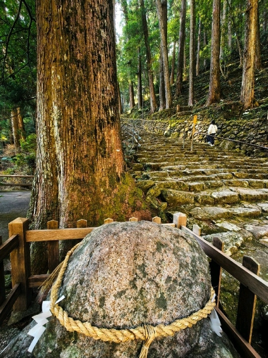 熊野古道 —— 時と森を抜ける聖なる道を歩く。 | Trip.com 田辺