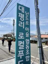 제주 대평리 산책, 유채꽃과 돌담길이 예쁜 조용한 마을 여행 