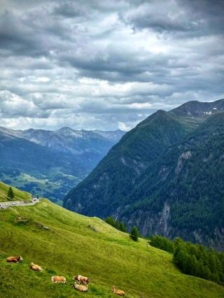 Grossglockner 高山公路：一段我永生難忘的駕駛旅程