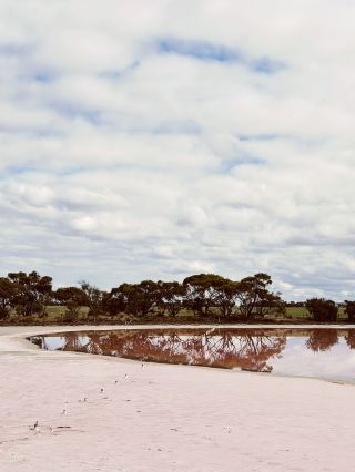 Cranbrook Pink Lake: Southern WA’s Crowd-Free Pink Lake. Secret and Underrated