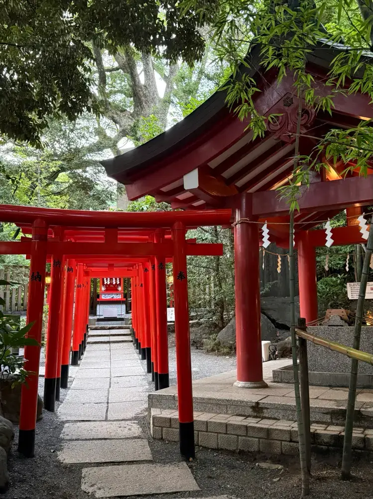 熱海の來宮神社：樹齢2000年の大楠が願いを叶えるパワースポット。