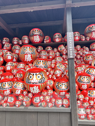 勝美寺 達摩打卡熱點