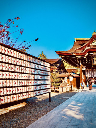 Miyazakiâs Aoshima Shrine Cat Island Causeway