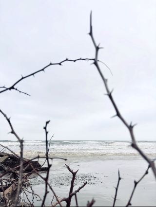 Река Бакхали — Кокс-Базар 🌊🌿

Река Бакхали (বাঁকখালী নদী) — одна из важных рек Кокс-Базара. Она протекает через регион Кокс-Базара и в конечном итоге впадает в прибрежные воды Бенгальского залива. Река тесно связана с рыболовством, торговлей, сельским хозяйством и повседневной жизнью этого района.

🌊 Природная красота

Река Бакхали предлагает прекрасное сочетание реки, зеленых берегов, лодок, рыбацких поселений и прибрежных пейзажей. Пейзажи особенно привлекательны на рассвете и закате, когда солнечный свет отражается от воды.

Река также придает Кокс-Базару особый характер, помимо его знаменитых пляжей.

🛶 Лодки и жизнь на реке

Традиционные лодки являются важной частью жизни вдоль реки Бакхали. В зависимости от места и времени года, посетители могут увидеть рыбацкие лодки, небольшие транспортные суда и рыбаков, работающих вдоль реки.

Берега реки позволяют заглянуть в традиционный образ жизни местных прибрежных общин.

🐟 Рыболовство и местная экономика

Рыболовство — важная деятельность, связанная с рекой и близлежащими прибрежными водами. Местные рыбаки зависят от водных путей в плане средств к существованию, а рыба и другие водные ресурсы вносят вклад в местную экономику.

Река также связана с более широкой сетью водных путей, используемых для местного транспорта и торговли.

🌿 Пейзажи берегов реки

Районы вокруг реки Бакхали могут быть особенно спокойными вдали от шумных районов Кокс-Базара. Зеленая растительность, открытые поля, лодки и деревни создают типичный прибрежный ландшафт Бангладеш.

Для путешественников, заинтересованных в аутентичных местных впечатлениях, время, проведенное у реки, может быть очень полезным.

🌅 Наблюдение за закатом

Одно из самых прекрасных впечатлений — наблюдение за закатом у реки Бакхали.

С закатом небо окрашивается в золотистые и оранжевые тона, а лодки на реке превращаются в темные силуэты на фоне сияющего горизонта. Это может стать прекрасным местом для фотосъемки и создания кинематографических видеороликов о путешествиях.

📸 Идеи для фотосъемки

Река Бакхали идеально подходит для съемки:

· 🌊 Речных пейзажей
· 🛶 Традиционных лодок
· 🎣 Рыбаков
· 🌅 Заката
· 🌄 Восхода солнца
· 🌿 Зеленых берегов реки
· 🏡 Жизни местных деревень
· 📷 Прибрежной Бангладеш

🚤 Исследуйте реку

Если доступны местные лодочные услуги и условия безопасны, короткая поездка на лодке может стать отличным способом увидеть реку с другой стороны.

Поскольку состояние реки может меняться в зависимости от приливов, погоды и времени года, посетителям следует следовать указаниям местных жителей и соблюдать соответствующие меры безопасности.


#BakkhaliRiver #Bakkhali #CoxsBazar #BangladeshTravel #VisitBangladesh #ExploreBangladesh #CoxsBazarTravel #RiverLife #BangladeshRivers #CoastalBangladesh #NatureLovers #TravelPhotography #SunsetLovers #TravelBangladesh #BeautifulBangladesh