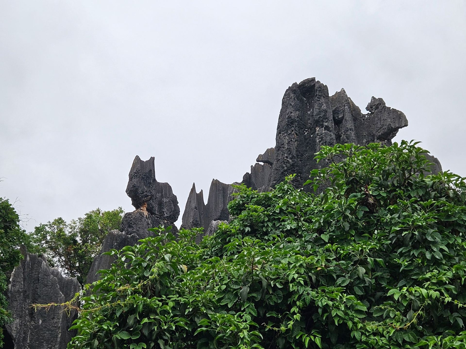 🪨 Lost in a Forest of Stone — Shilin, Kunming 🇨🇳