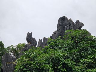 🪨 Lost in a Forest of Stone — Shilin, Kunming 🇨🇳