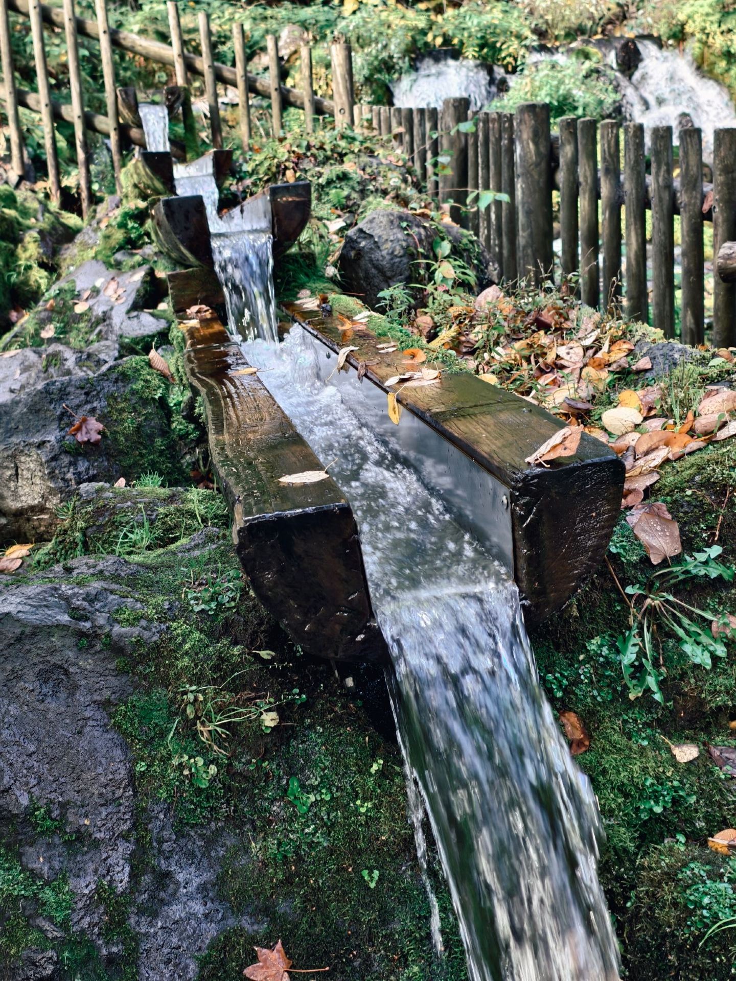 Freshest sprint water straight out of Hokkaido’s Mount Yotei for free