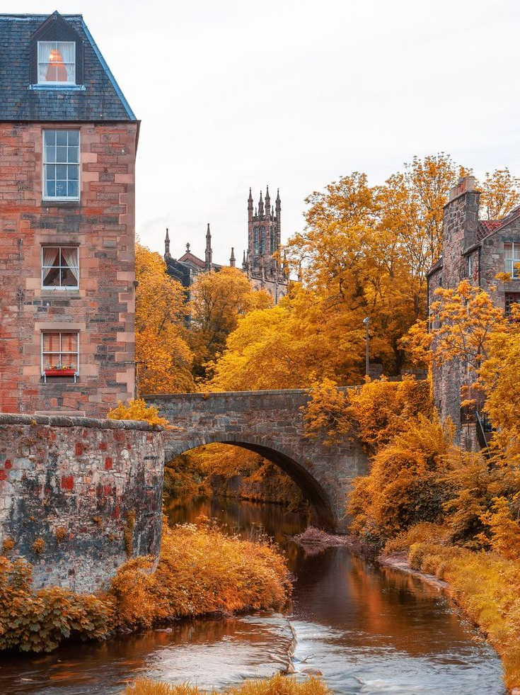 Fall autumn colours and Crimson Canopies in Edinburgh