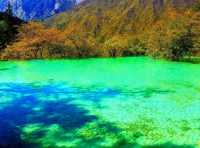 Vibrant Natural Pools: Huanglong 🇨🇳