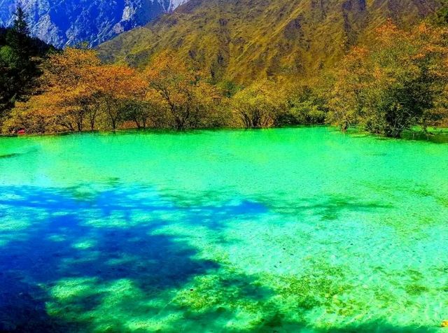 Vibrant Natural Pools: Huanglong 🇨🇳