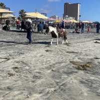 Rosarito!