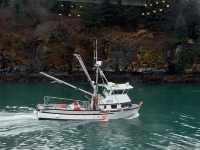 The city of Island KODIAK,Alaska 