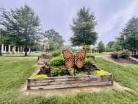 Escape to Nature in Stallings