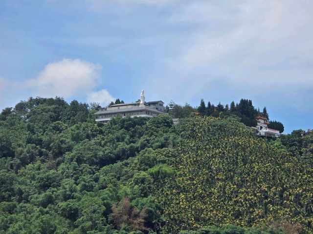 🏞️ 日月潭一日漫遊指南｜從台中出發的湖光山色輕旅行