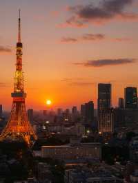 Tokyo, Japan 🗼🍜🌸